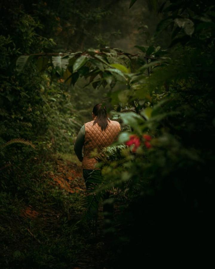 Escapadita Al Bosque San Isidro  エクステリア 写真